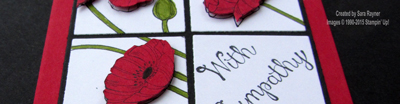 poppies square close up