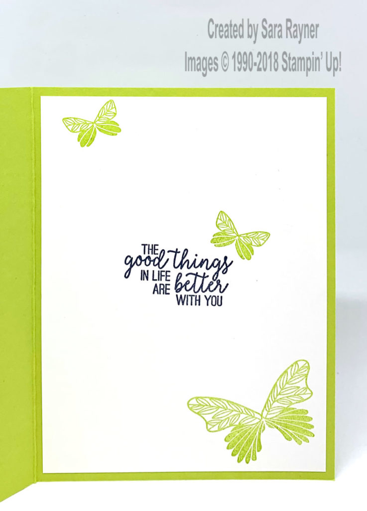 Insert using Butterfly Gala stamp set