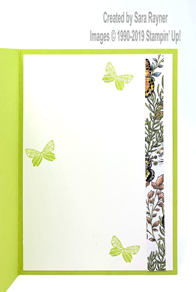 Insert using Botanical Butterfly DSP (SAB freebie) and Butterfly Gala stamps, all from Stampin' Up!