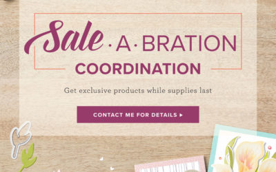 Sale-a-bration Co-ordination 2019