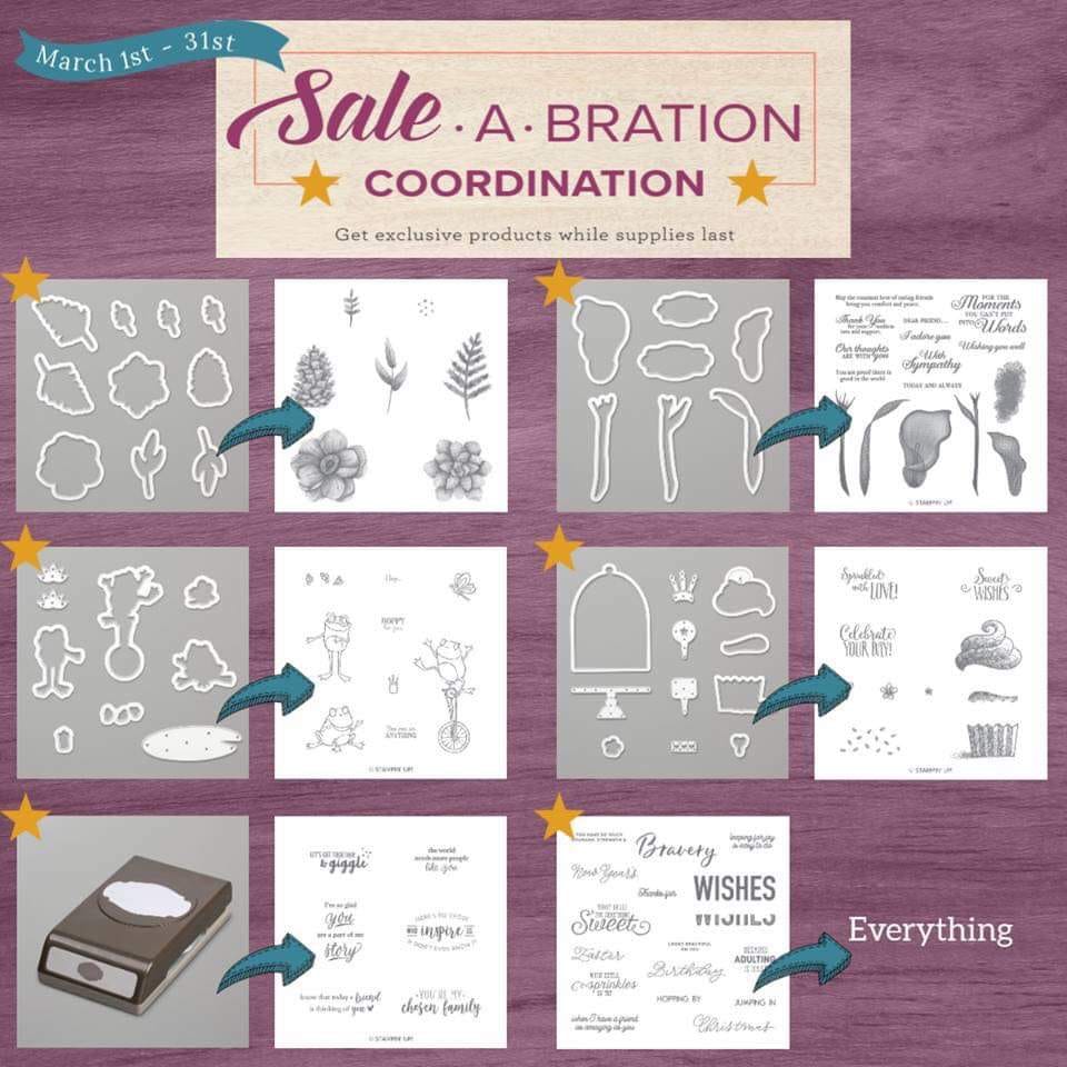 Limited-time products that coordinate perfectly with select Sale-A-Bration products.