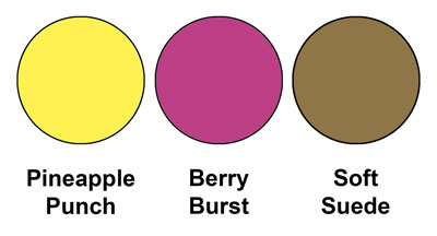 Colour combination mixing Pineapple Punch, Berry Burst and Soft Suede, all from Stampin' Up!
