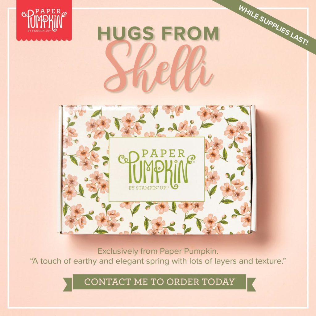 Paper Pumpkin Kit, Hugs from Shelli.
