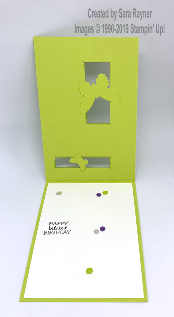 The insert uses a sentiment from Itty Bitty Birthdays. 
