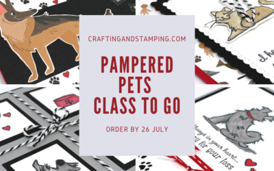 Reminder – Pampered Pets Class To Go