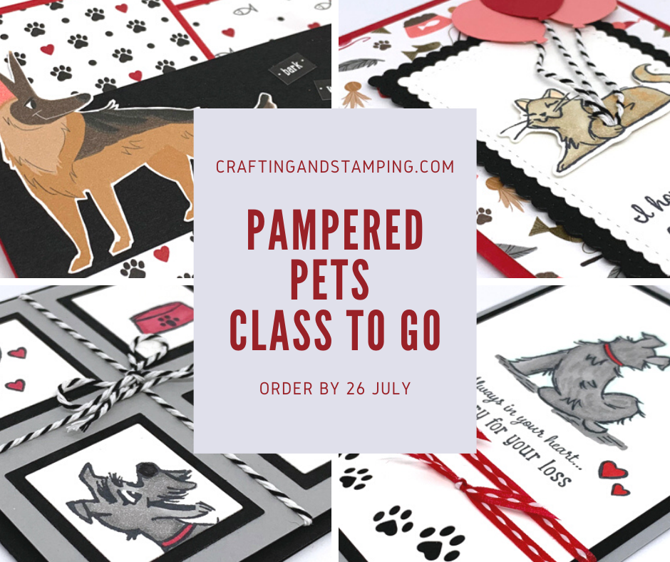 Pampered Pets Class To Go