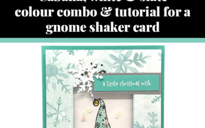 Tutorial for gnome shaker card