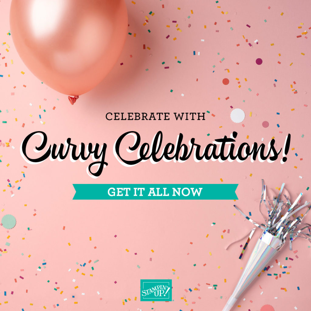 November Offers and News - Curvy Celebrations