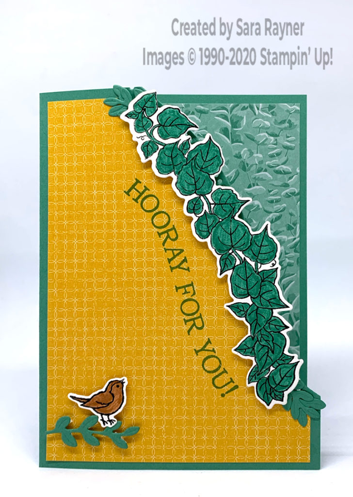 Curvy hooray card