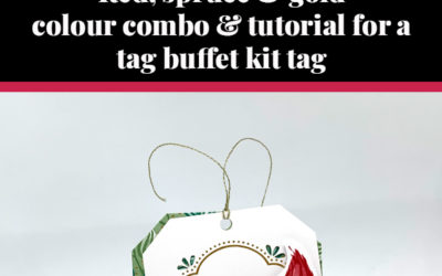 Tutorial for Tag Buffet tag