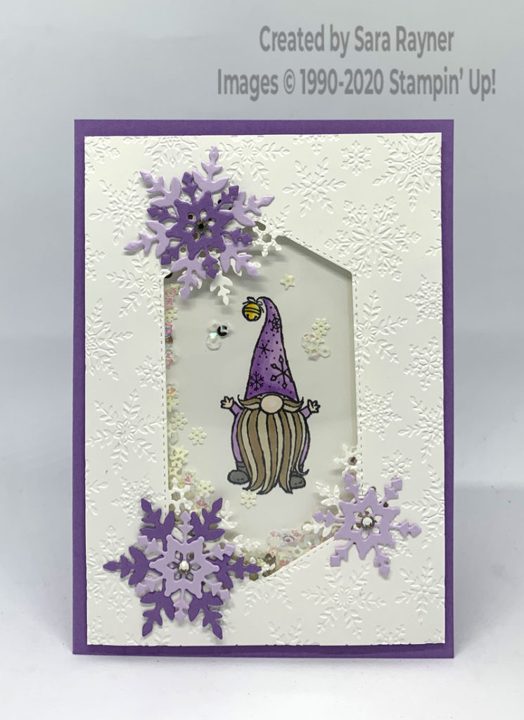 Winter Snow shaker card