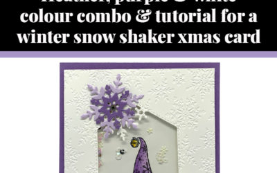 Tutorial for Winter Snow shaker card