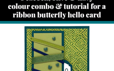 Tutorial for ribbon butterfly card