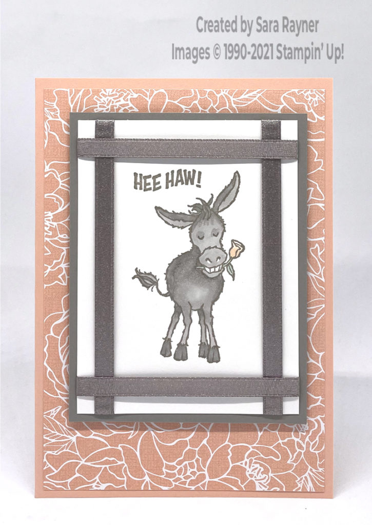 Shimmer ribbon framed donkey birthday card