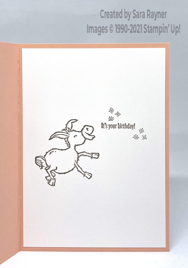 Shimmer ribbon framed donkey birthday card insert
