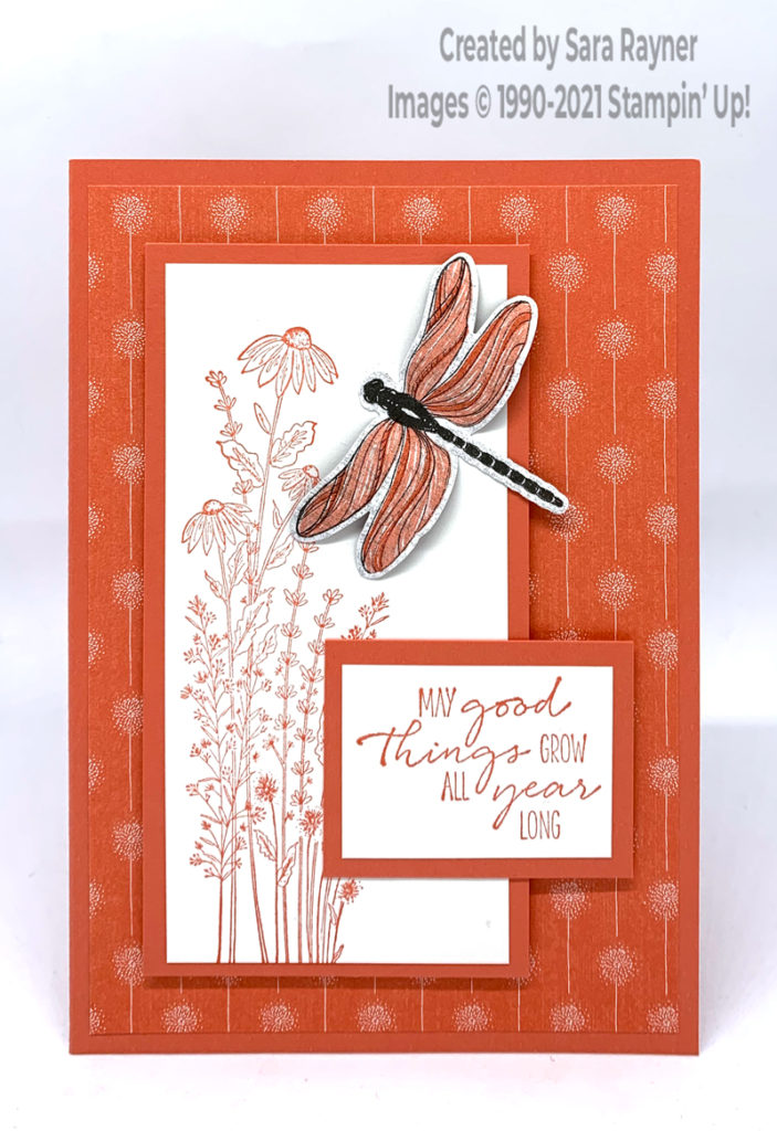 Coral dragonfly card