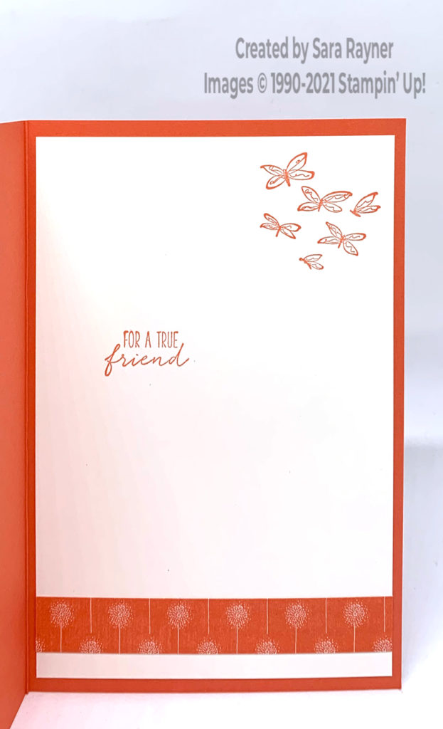 Coral dragonfly card insert