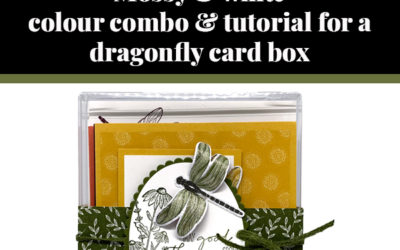 Tutorial for dragonfly box