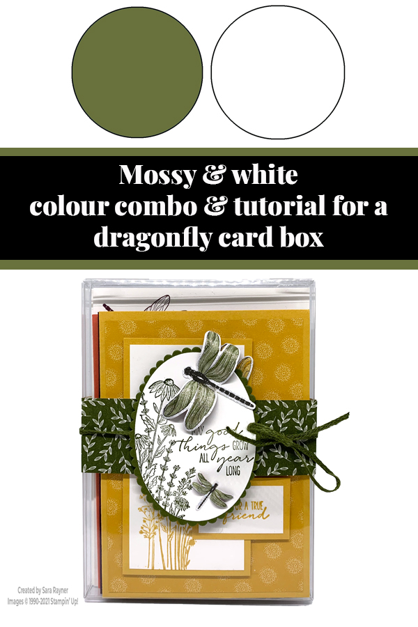Box for dragonfly card set tutorial
