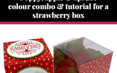 Tutorial for strawberry box