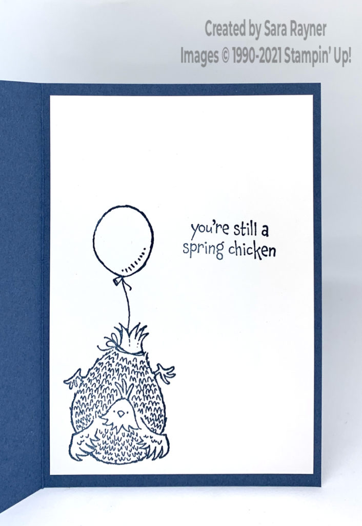 Blue birthday chick card insert