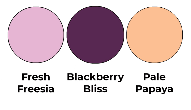 Colour combo mixing Fresh Freesia, Blackberry Bliss and Pale Papaya