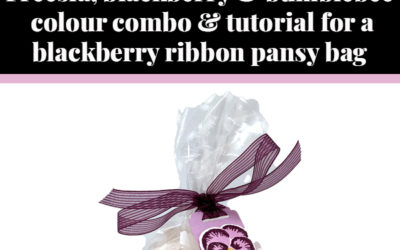 Tutorial for blackberry ribbon treat bag
