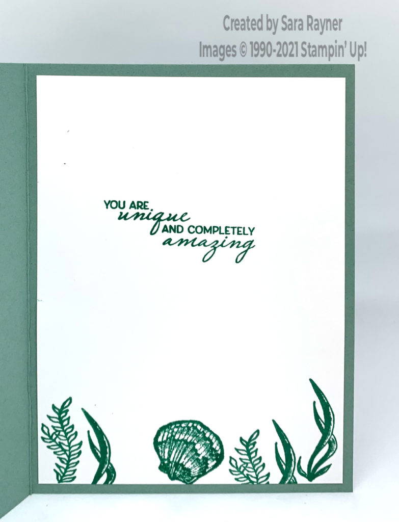 Green seashell card insert