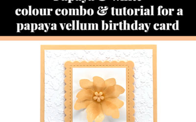 Tutorial for papaya vellum card