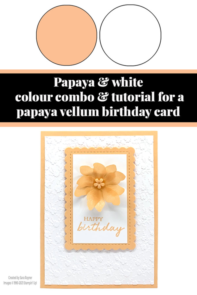 Pale Papaya vellum birthday card tutorial