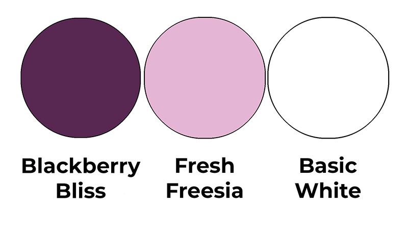 Colour combo mixing Blackberry Bliss, Fresh Freesia and Basic White