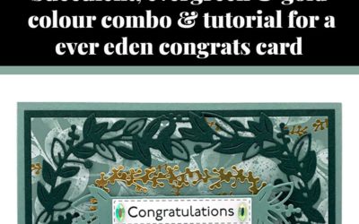 Tutorial for ever eden congrats card