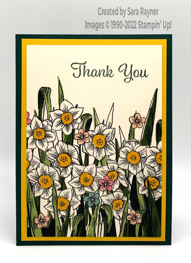 Quick daffodil thank you card