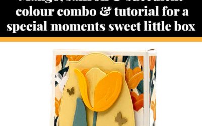 Tutorial for Special Moments box
