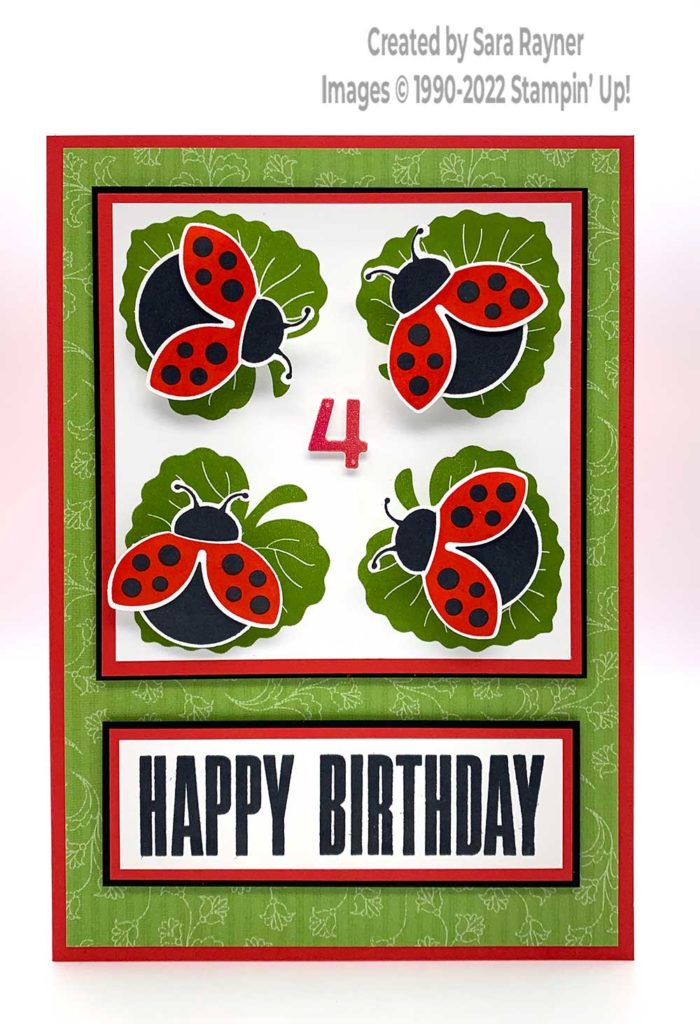 Ladybug birthday card