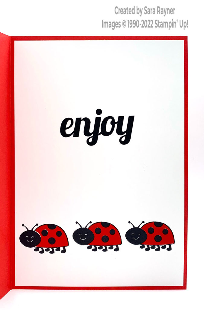 Ladybug birthday card insert