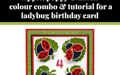 Tutorial for ladybug birthday card