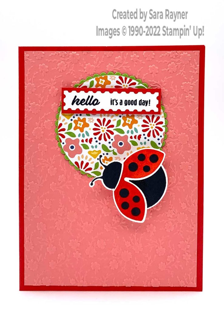 Ladybug circle card