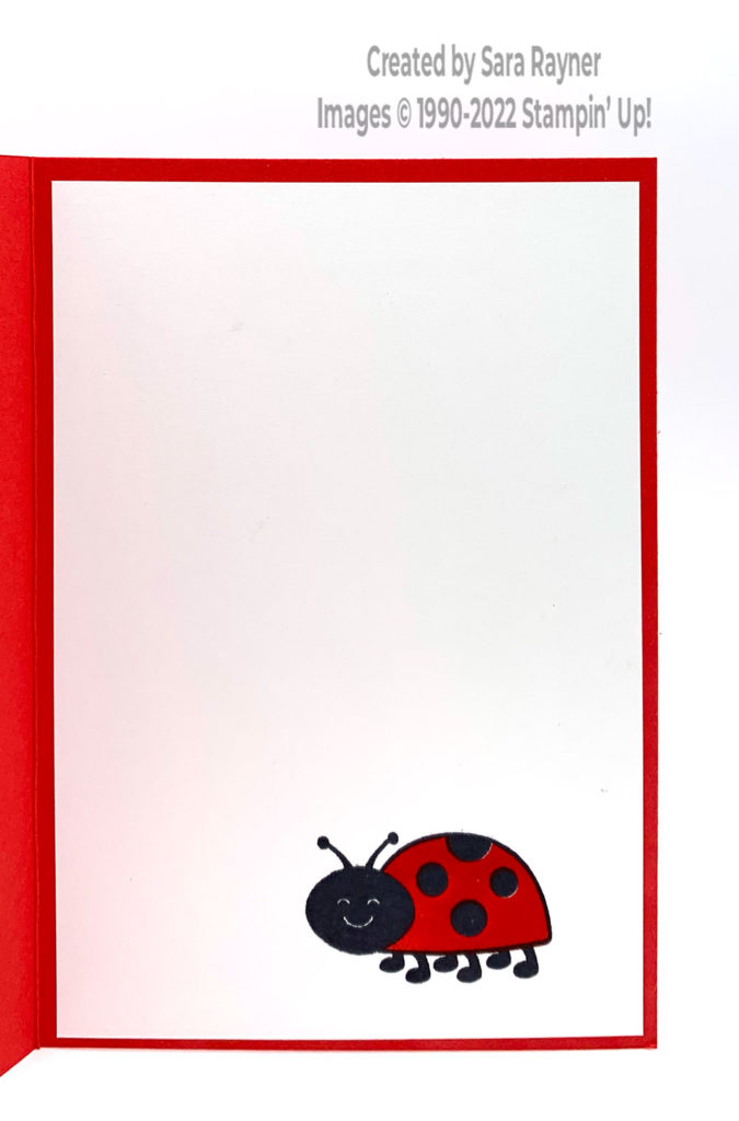 Ladybug circle card insert