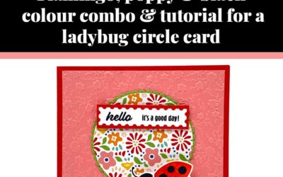 Tutorial for ladybug circle card