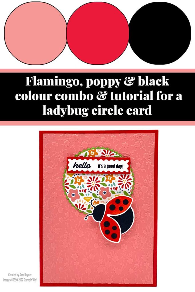 Ladybug circle card tutorial