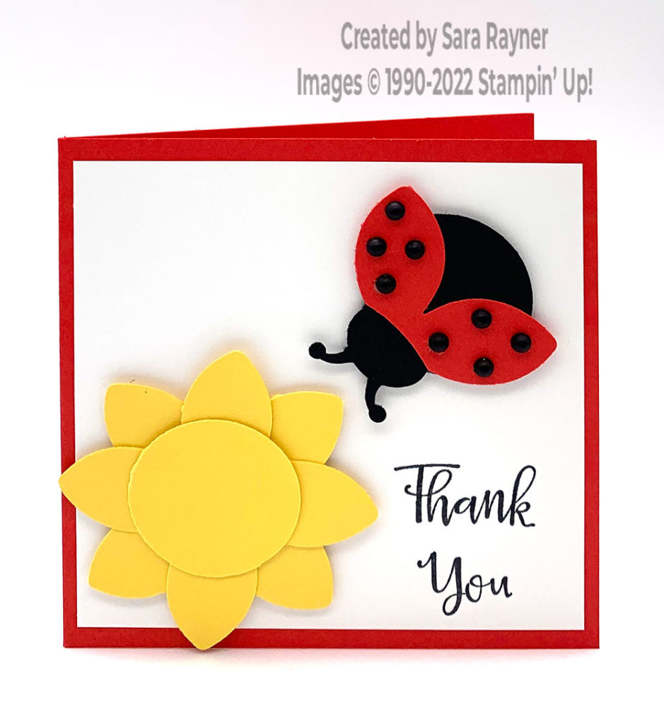 Quick Ladybug card