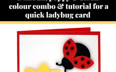 Tutorial for quick Ladybug card