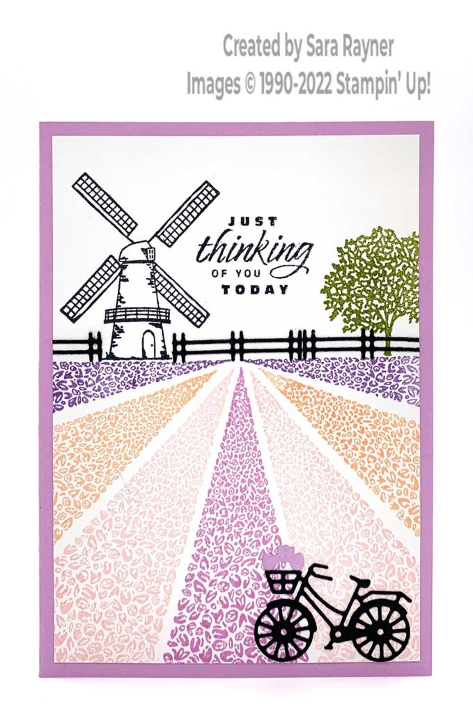 Tulip Fields Card