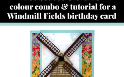 Tutorial for Windmill Fields birthday card