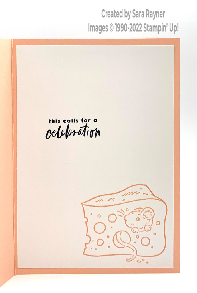 Mischievous Mice birthday card insert