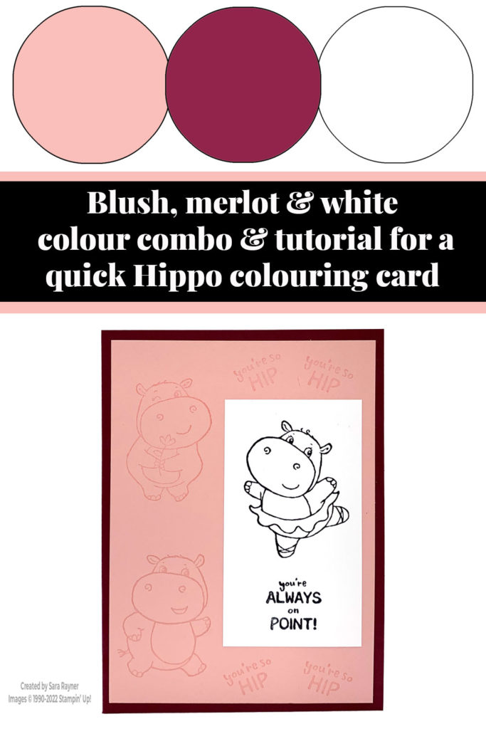Quick Hippo colouring card tutorial