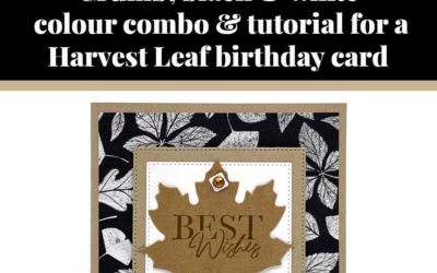 Tutorial for Harvest Leaf birthday card