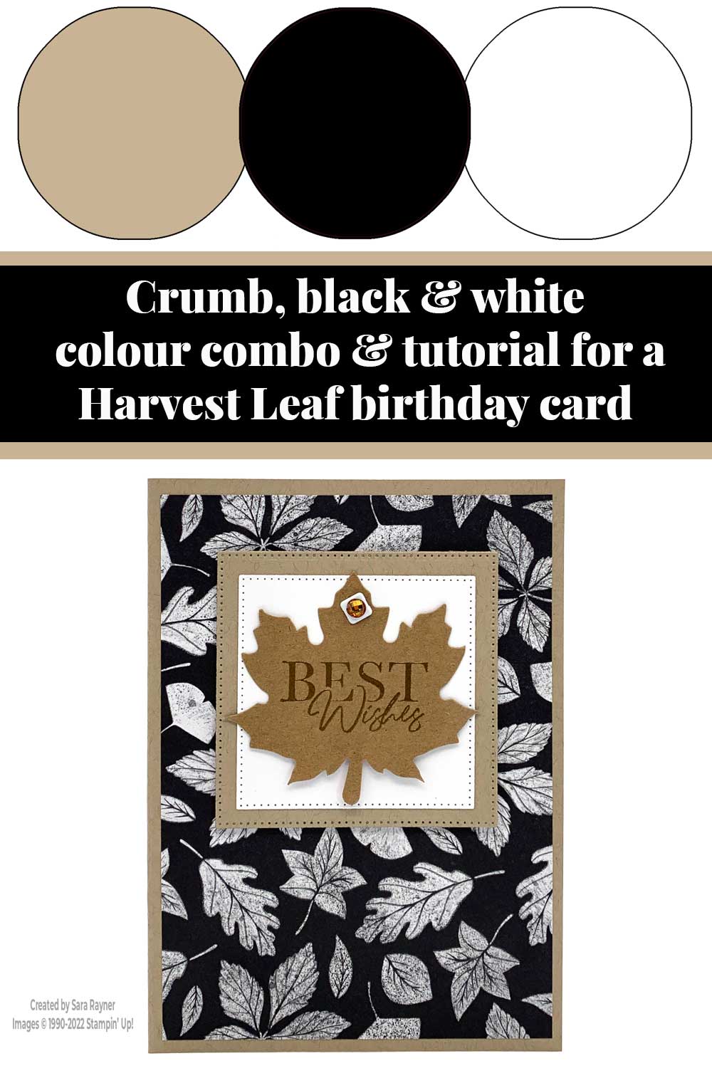 Tutorial for Harvest Leaf birthday card - Sara's crafting and stamping ...