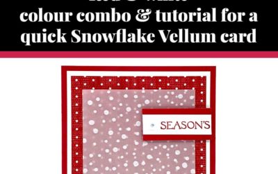 Tutorial for quick Snowflake Vellum card